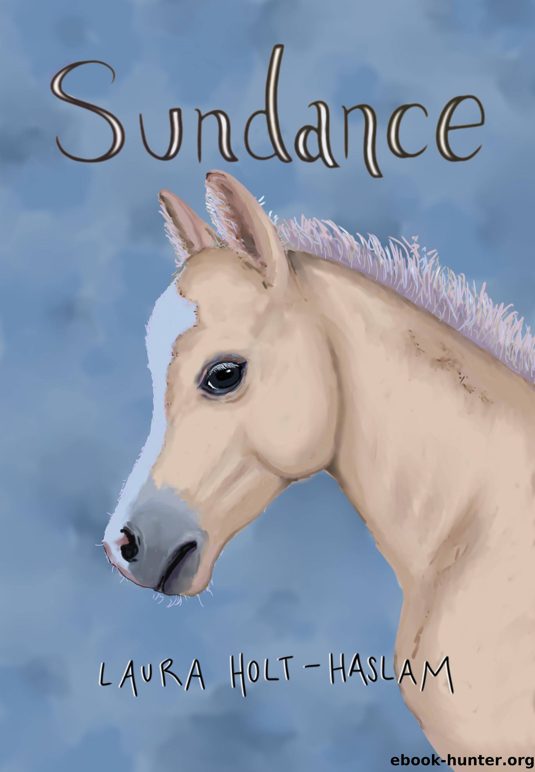 Sundance by Laura Holt-Haslam