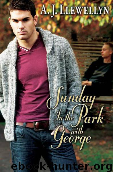 Sunday in the Park with George by A.J. Llewellyn