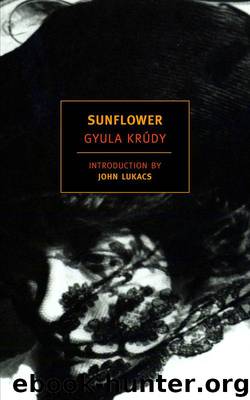 Sunflower by Gyula Krudy