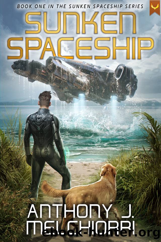 Sunken Spaceship by Anthony J. Melchiorri