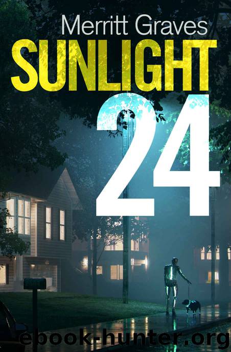Sunlight 24 by Merritt Graves
