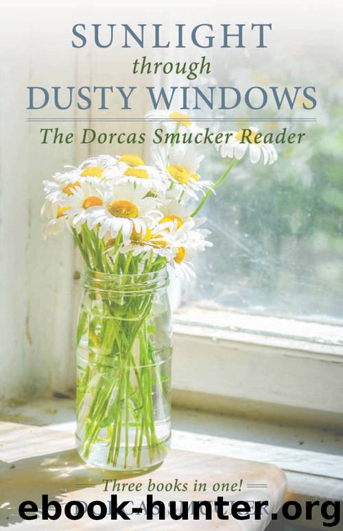 Sunlight Through Dusty Windows by Dorcas Smucker
