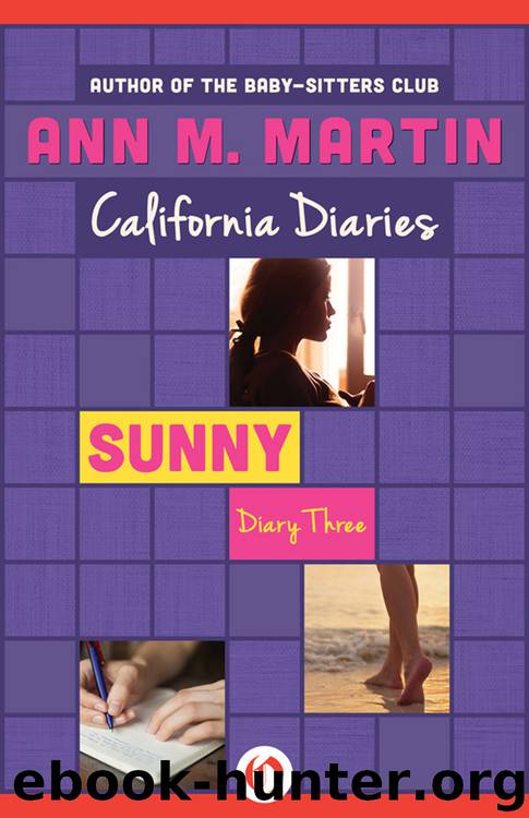 Sunny: Diary Three by Ann M. Martin