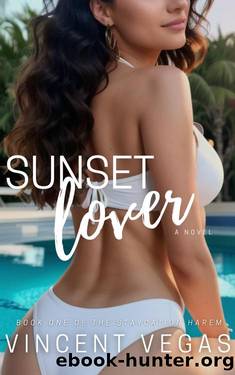 Sunset Lover: A Harem Adventure by Vincent Vegas