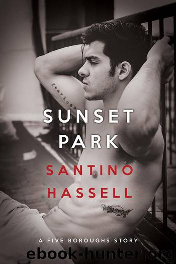 Sunset Park by Hassell Santino