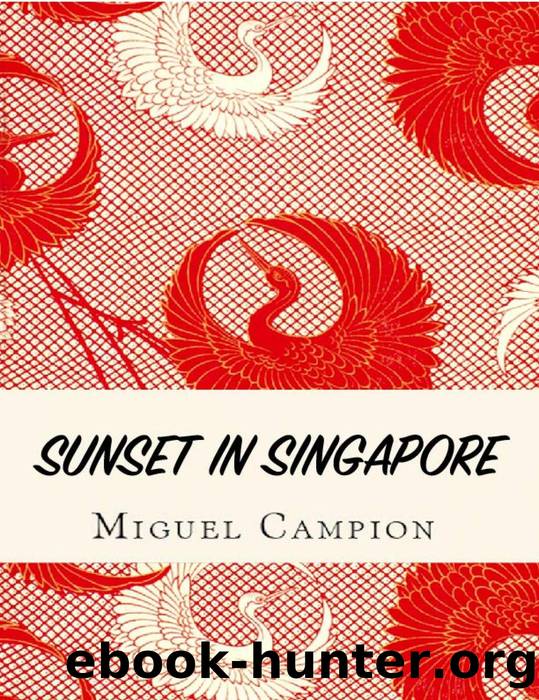 Sunset in Singapore by Miguel Campion