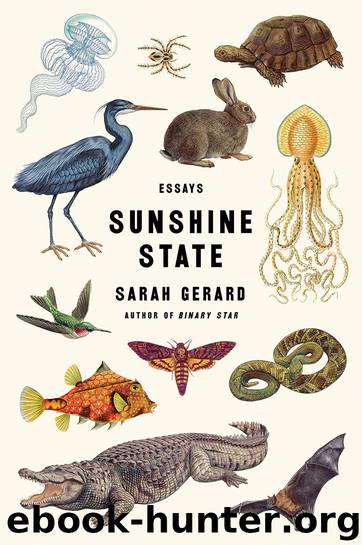 Sunshine State by Sarah Gerard