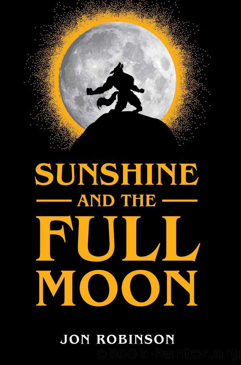 Sunshine and the Full Moon by Jon Robinson