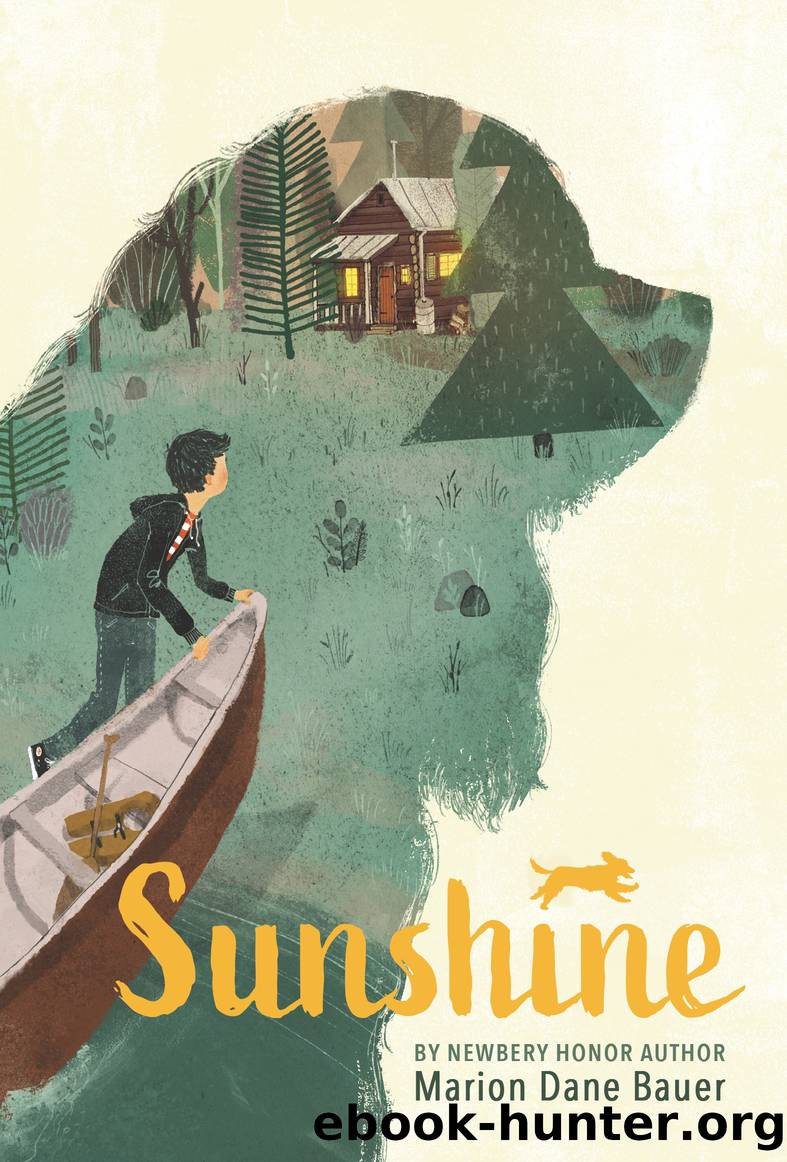 Sunshine by Marion Dane Bauer
