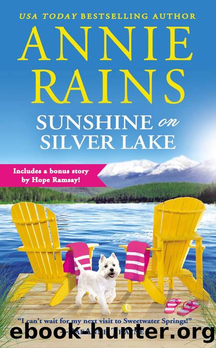 Sunshine on Silver Lake: Includes a bonus novella by Annie Rains