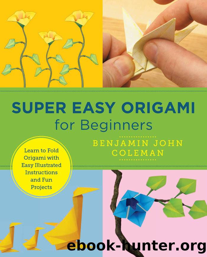Super Easy Origami for Beginners by Benjamin John Coleman