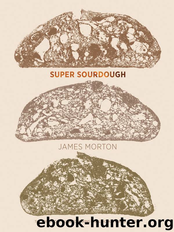 Super Sourdough by James Morton