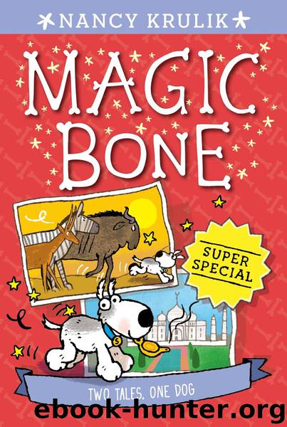 Super Special by Nancy Krulik