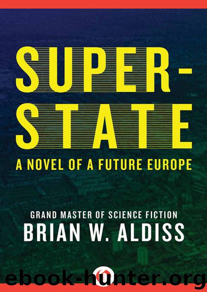 Super-State: A Novel of a Future Europe by Aldiss Brian W