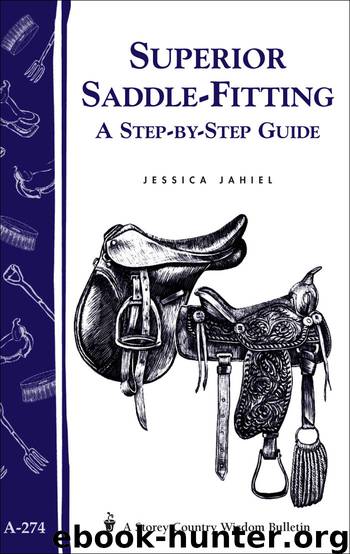 Superior Saddle Fitting: A Step-by-Step Guide