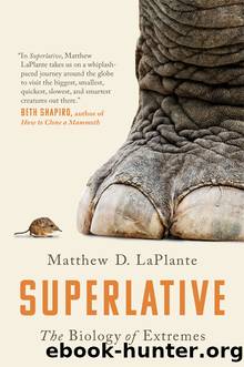 Superlative by MATTHEW D. LAPLANTE