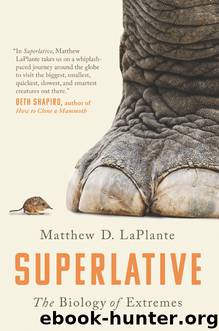 Superlative by Matthew D. LaPlante