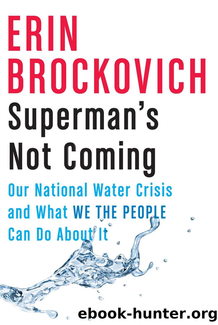 Superman's Not Coming: Our National Water Crisis and What We the People Can Do About It by Erin Brockovich