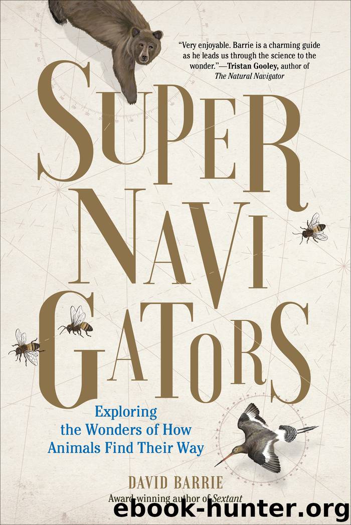 Supernavigators: Exploring the Wonders of How Animals Find Their Way by David Barrie