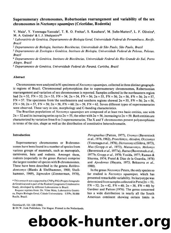 Supernumerary chromosomes, Robertsonian rearrangement and variability of the sex chromosomes in <Emphasis Type="Italic">Nectomys squamipes <Emphasis> (Cricetidae, Rodentia) by Unknown
