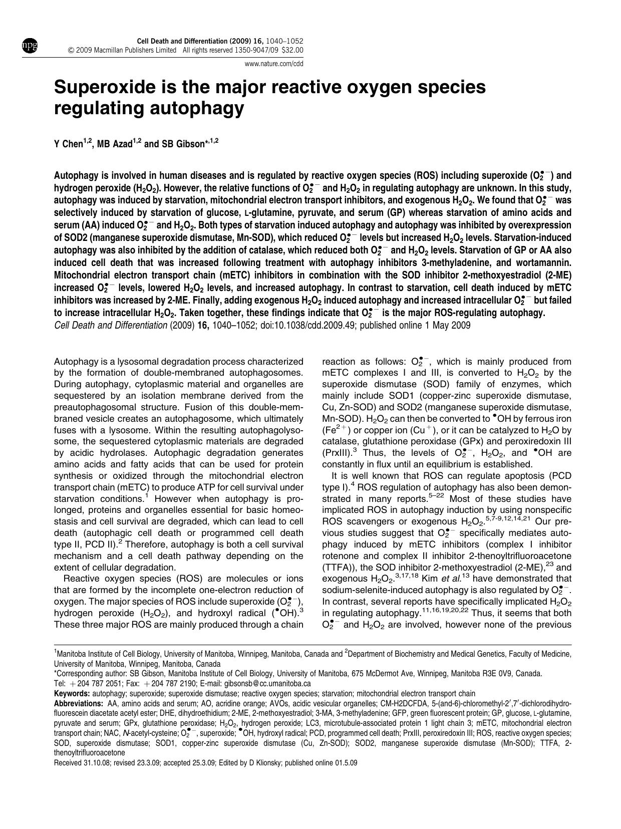 Superoxide is the major reactive oxygen species regulating autophagy by Y Chen & M B Azad & S B Gibson &