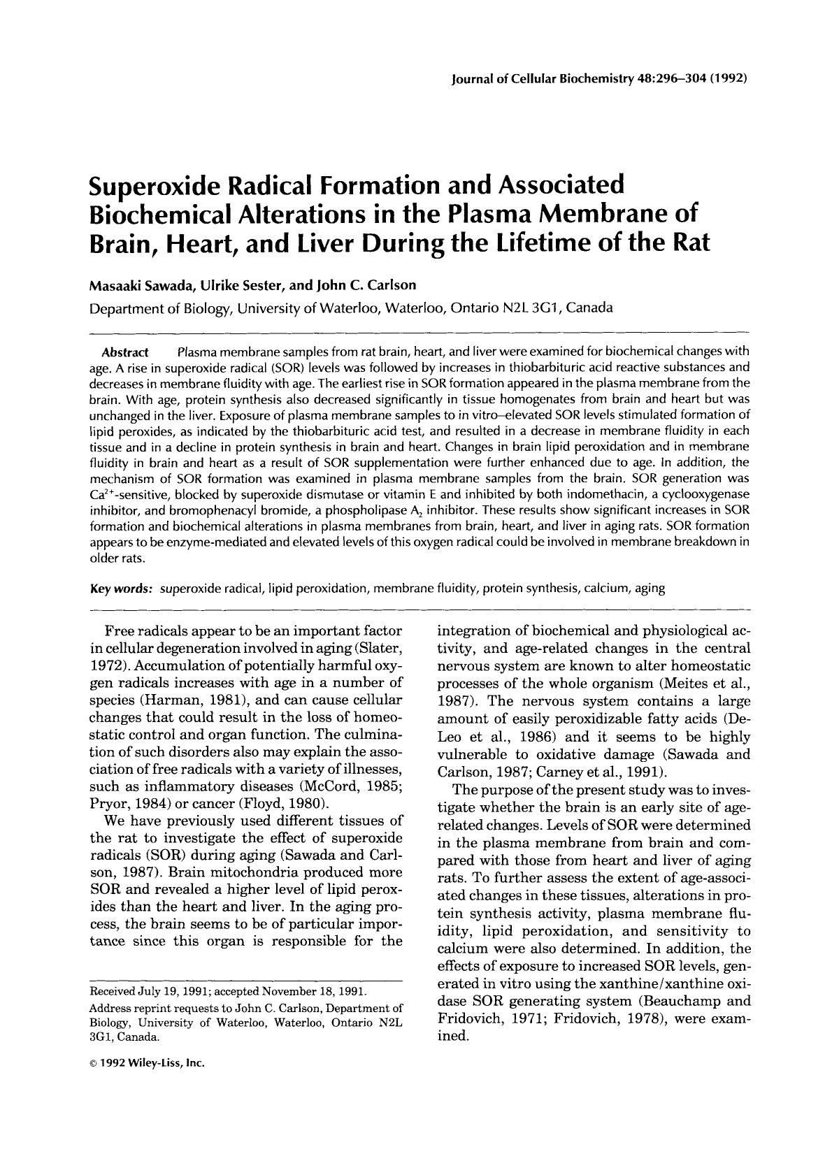 Superoxide radical formation and associated biochemical alterations in the plasma membrane of brain, heart, and liver during the lifetime of the rat by Unknown