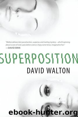 Superposition by David Walton