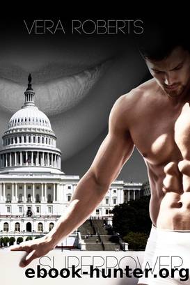 Superpower (State of Affairs 2) by Vera Roberts