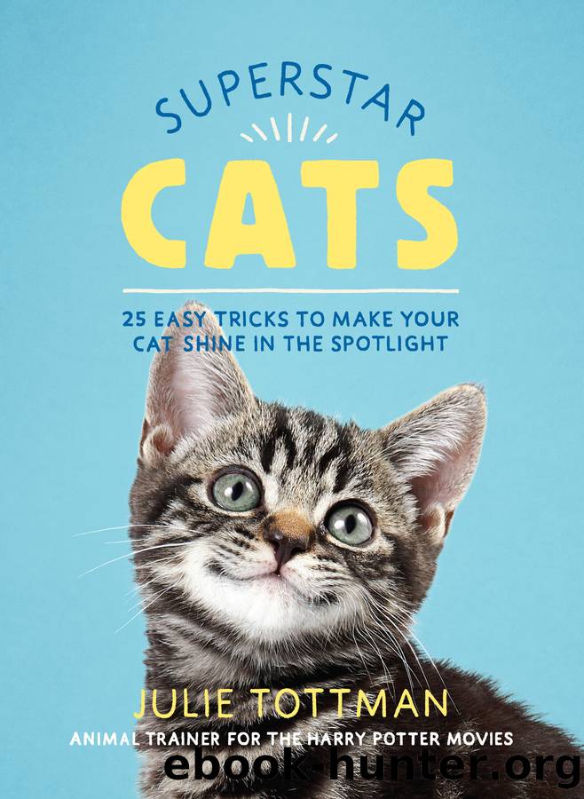 Superstar Cats by Julie Tottman