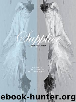 Supplice by T. Zachary Cotler