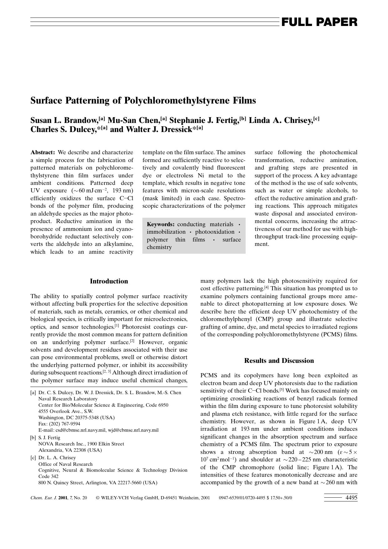 Surface Patterning of Polychloromethylstyrene Films by Unknown