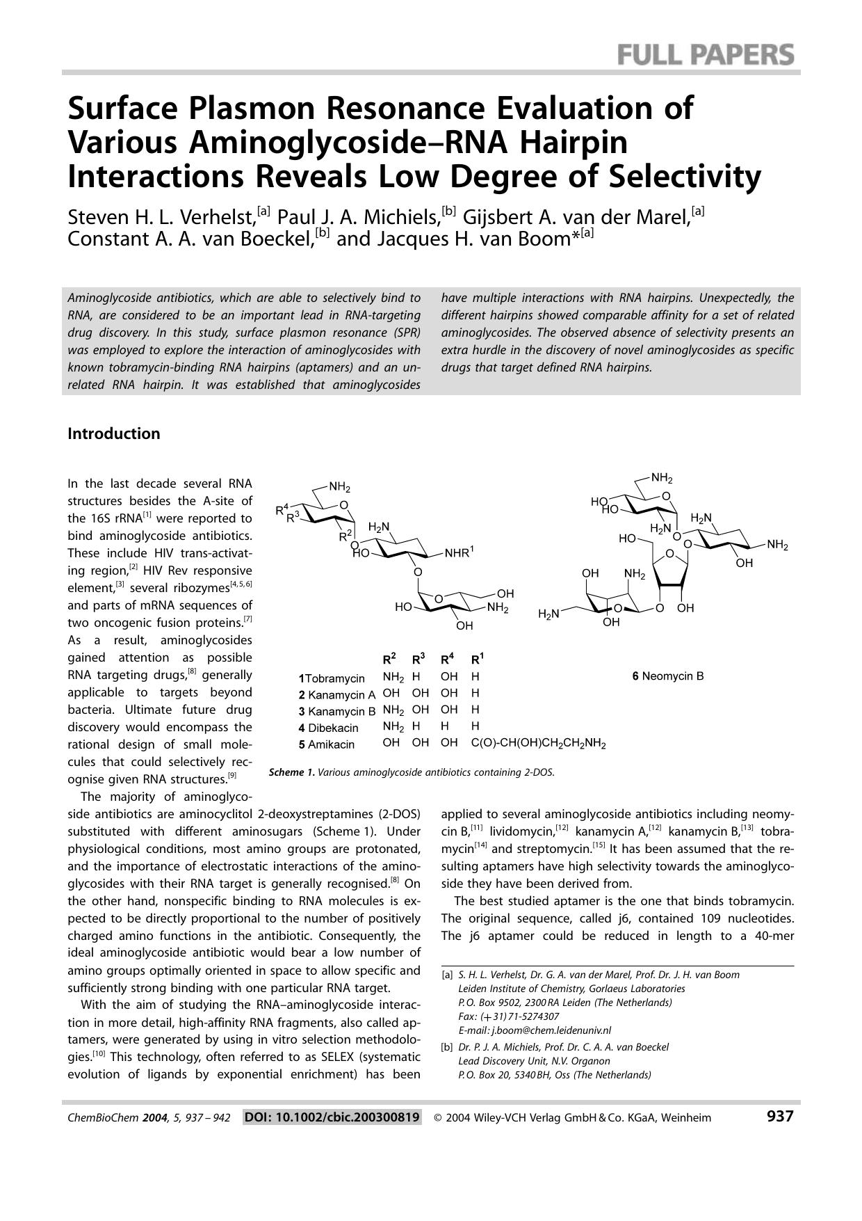 Surface Plasmon Resonance Evaluation of Various Aminoglycoside-RNA Hairpin Interactions Reveals Low Degree of Selectivity by Systemverwalter