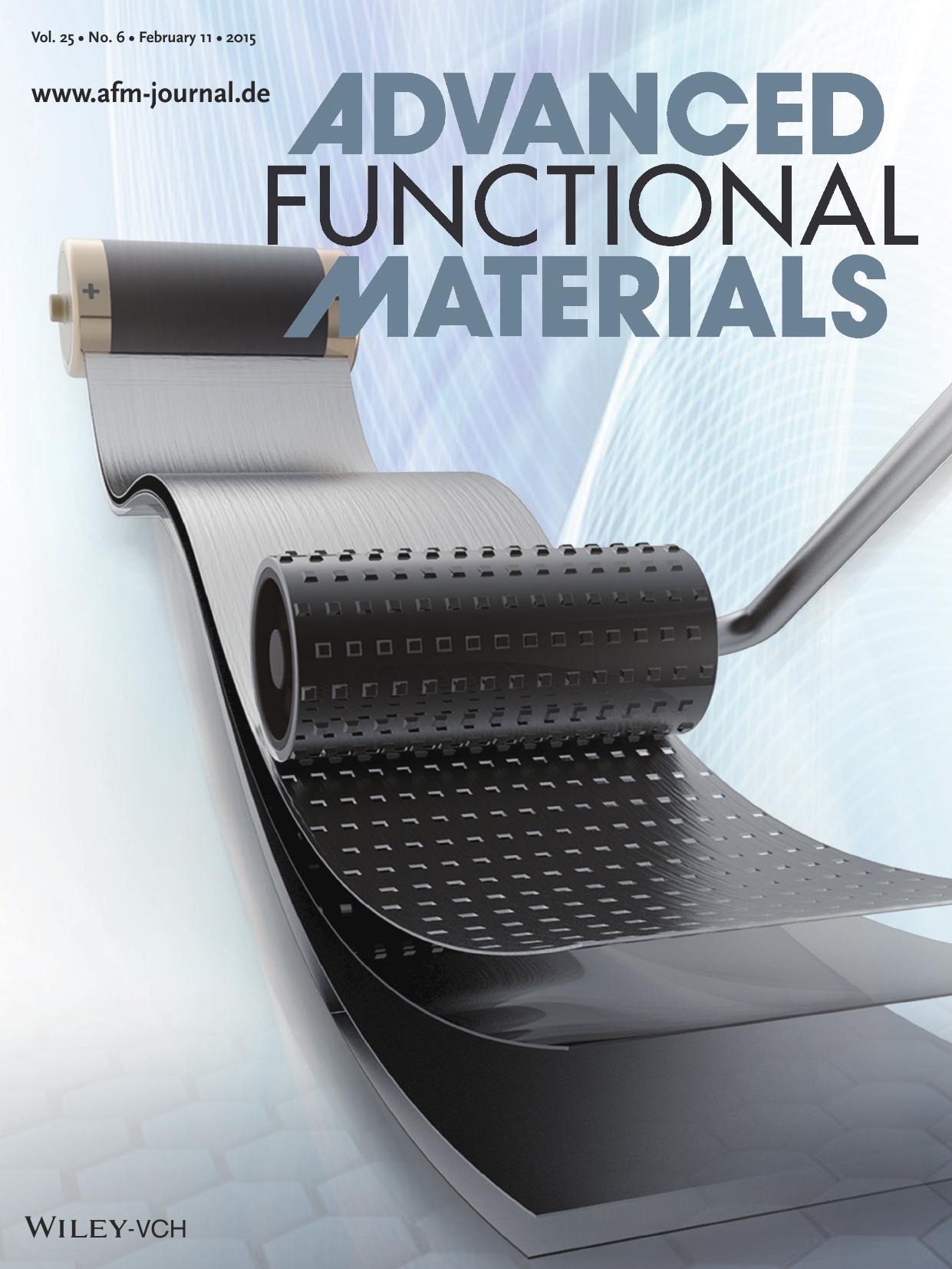 Surface Treatment: Mechanical Surface Modification of Lithium Metal: Towards Improved Li Metal Anode Performance by Directed Li Plating (Adv. Funct. Mater. 6&#x0002F;2015) by Unknown