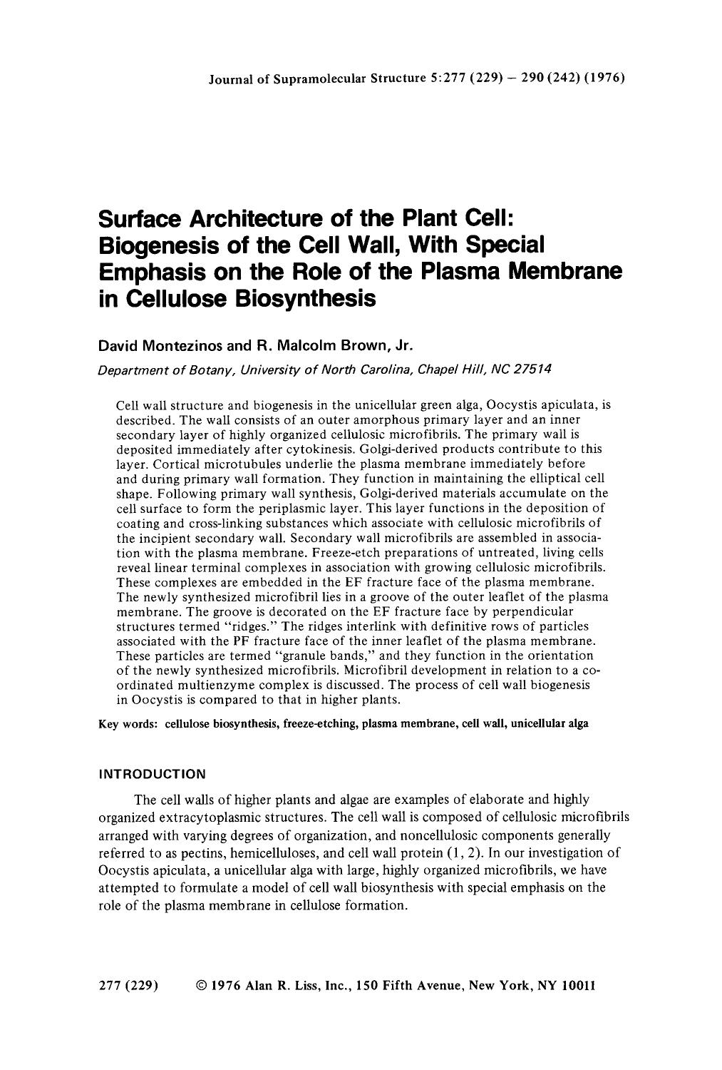 Surface architecture of the plant cell: Biogenesis of the cell wall, with special emphasis on the role of the plasma membrane in cellulose biosynthesis by Unknown