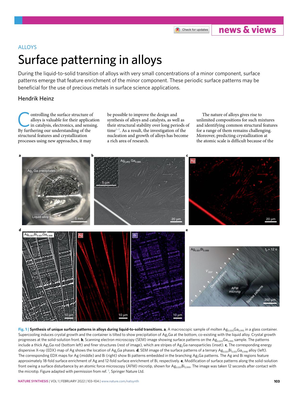 Surface patterning in alloys by Hendrik Heinz
