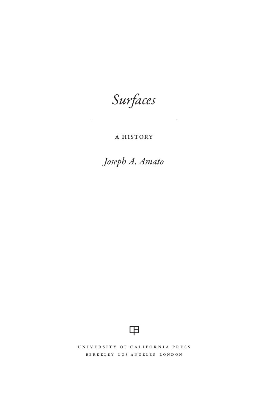 Surface: A History by Joseph A. Amato