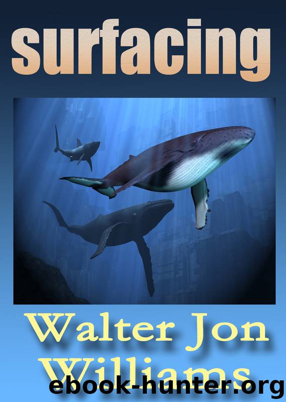 Surfacing by Walter Jon Williams