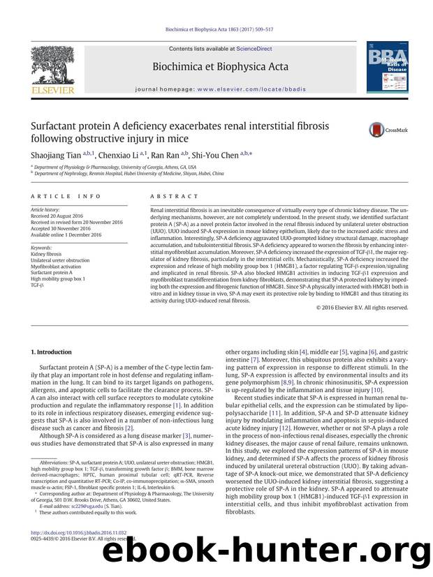Surfactant protein A deficiency exacerbates renal interstitial fibrosis following obstructive injury in mice by Shaojiang Tian & Chenxiao Li & Ran Ran & Shi-You Chen