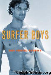 Surfer Boys by Neil Plakcy