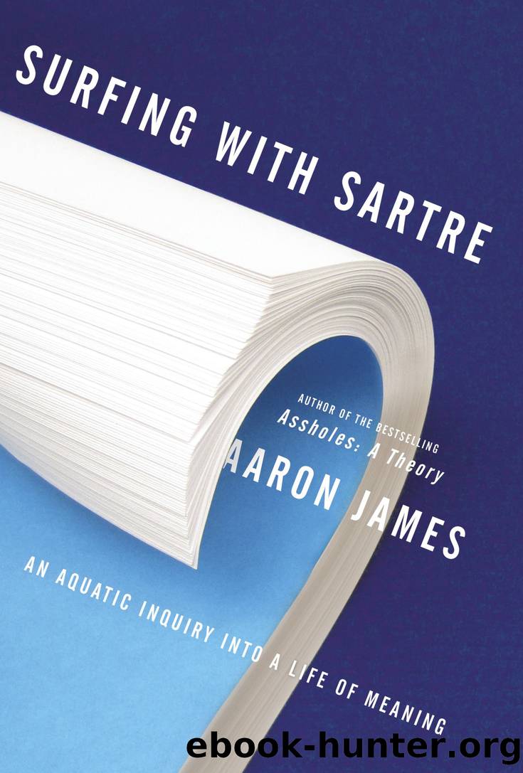 Surfing with Sartre by Aaron James