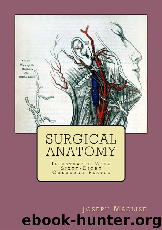 Surgical Anatomy (Illustrated): "With Sixty-Eight Coloured Plates by Maclise Joseph