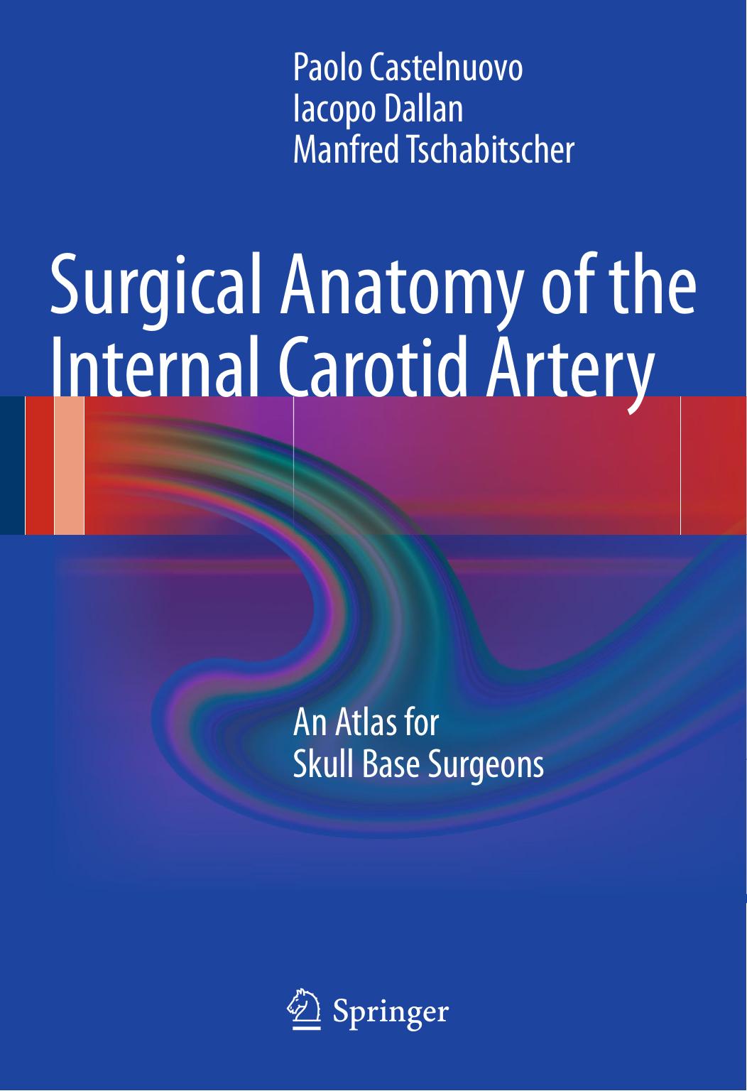 Surgical Anatomy of the Internal Carotid Artery: An Atlas for Skull Base Surgeons by Paolo Castelnuovo Iacopo Dallan Manfred Tschabitscher (auth.)