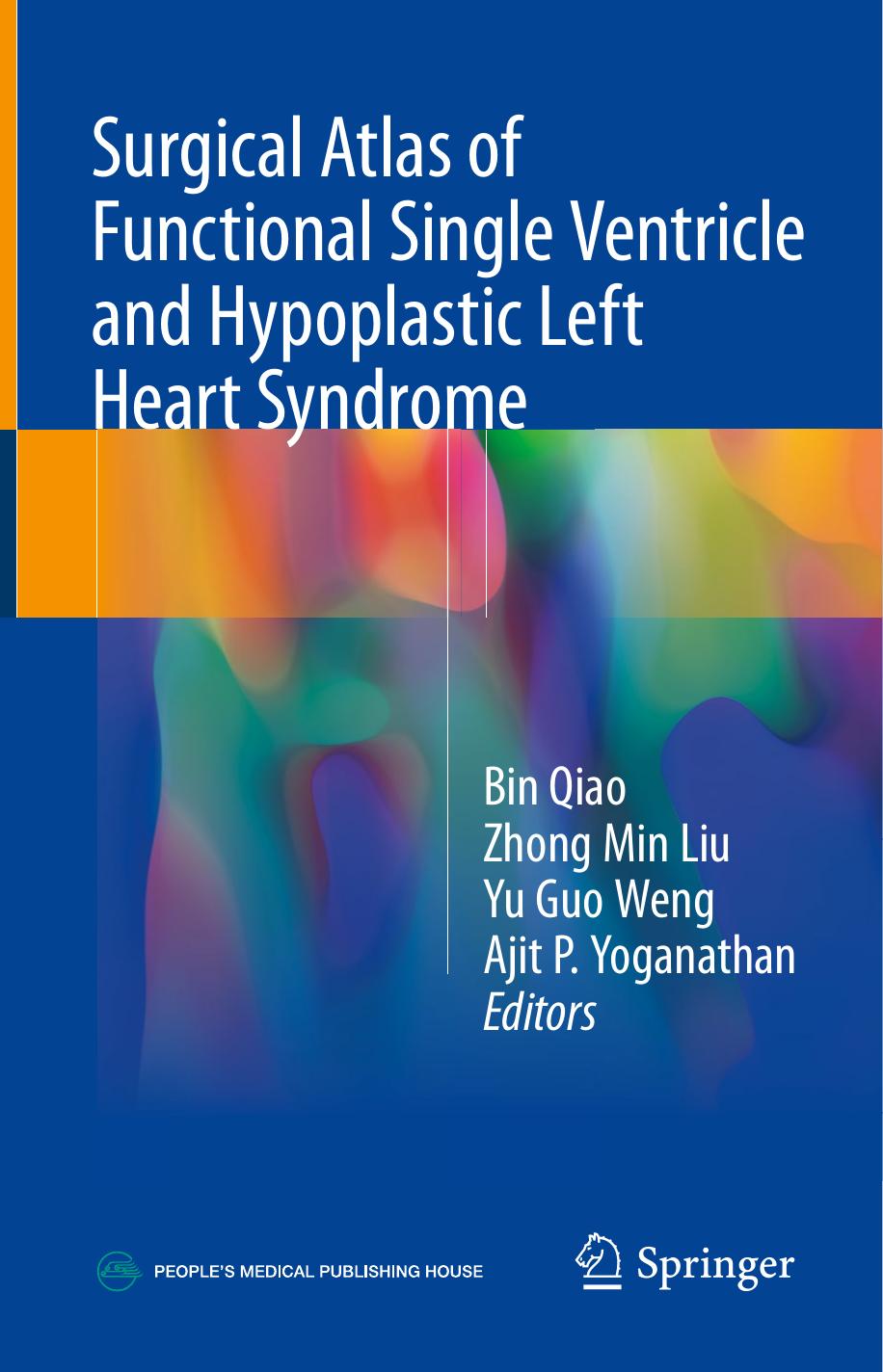 Surgical Atlas of Functional Single Ventricle and Hypoplastic Left Heart Syndrome by Bin Qiao Zhong Min Liu Yu Guo Weng Ajit P. Yoganathan