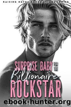 Surprise Baby for the Billionaire Rockstar: An Opposites Attract Slow Burn Romance (Raising Havoc Bandmates Book 2) by Stephie Rose