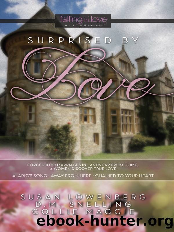Surprised by Love by Susan Lowenberg