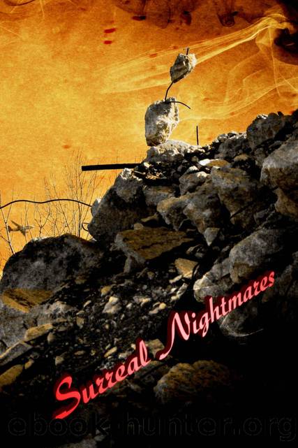 Surreal Nightmares by James Ward Kirk & Donald Armfield