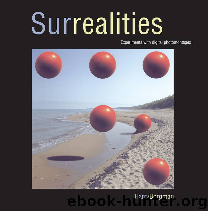 Surrealities by Harry Borgman