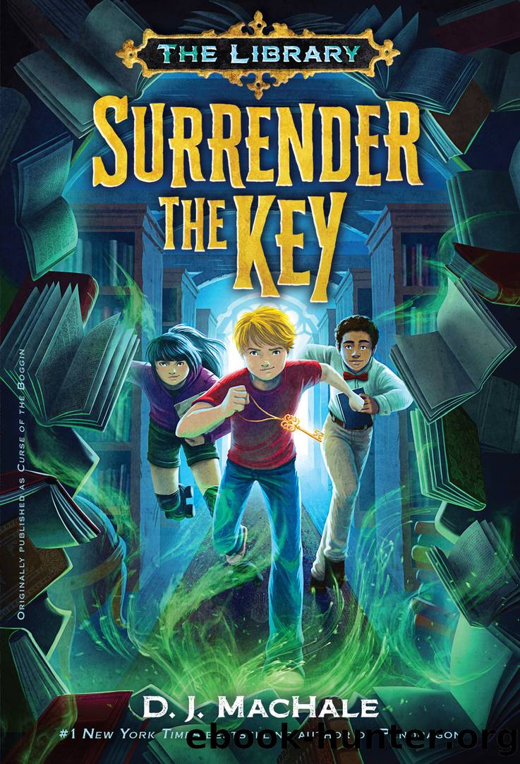 Surrender the Key by D. J. MacHale