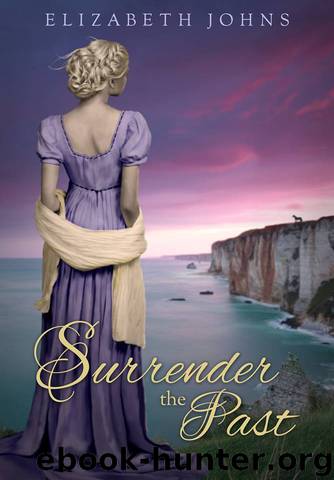Surrender the Past by Elizabeth Johns