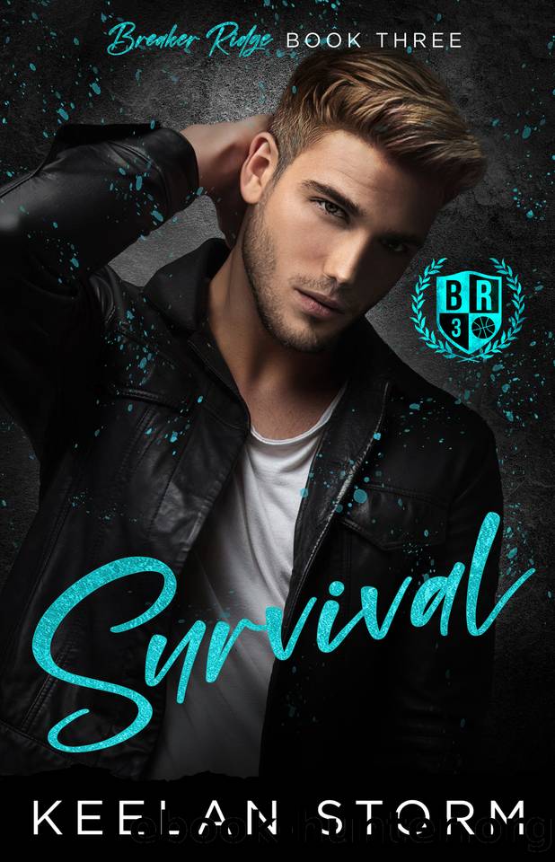 Survival (Breaker Ridge Book 3) by Keelan Storm